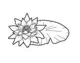 Dibujo de Una flor de loto para colorear