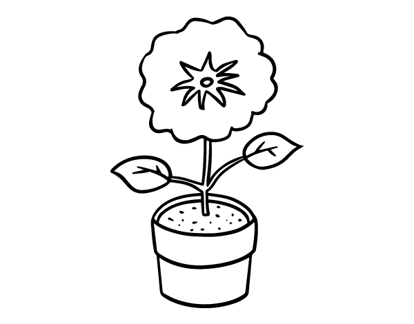 Dibujo de Una flor de primavera para Colorear 