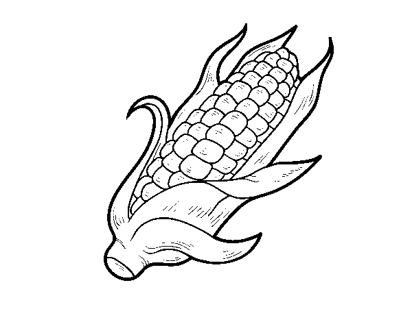 Dibujo de Una mazorca de maíz para Colorear
