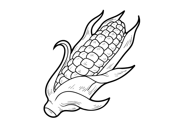 Dibujo de Una mazorca de maíz para Colorear 