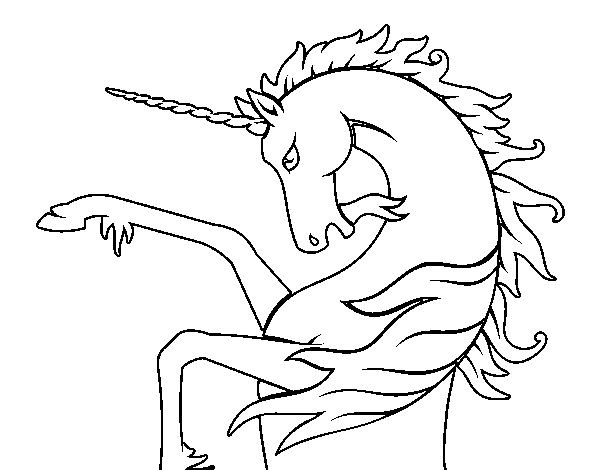 Dibujo de Unicornio salvaje para Colorear