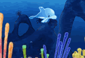 El delfín aventurero
