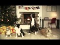Coro de Perros Cantando Feliz Navidad