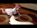 El perro enseña a gatear al bebé