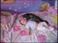 Este gatito sabe cómo calmar el llanto de bebé