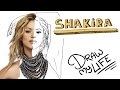 La vida de Shakira en dibujos