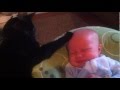 Un gato consolando a un bebé